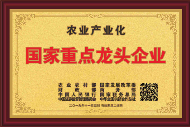 殊榮加身！湘豐茶業(yè)集團(tuán)再獲標(biāo)桿龍頭企業(yè)和優(yōu)勢(shì)特色產(chǎn)業(yè)30強(qiáng)等稱號(hào)