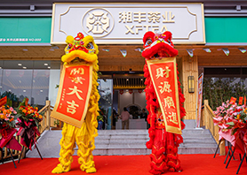 湘豐茶業星沙旗艦店盛大開業！