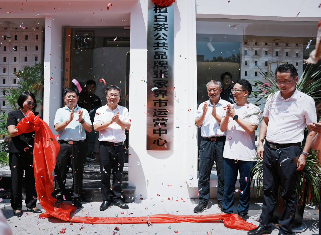 喜報！張家界白莓旗艦店盛裝開業(yè)暨桑植白茶公共品牌張家界市運營中心隆重揭牌！